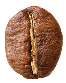 "Fruity Espresso Roasted Malta Coffee